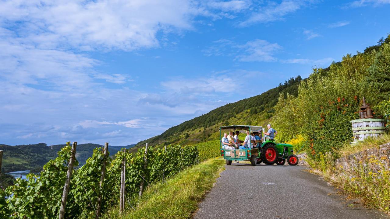 Ferienweingut Hirschen Schulstrasse Bed & Breakfast Burg  Dış mekan fotoğraf
