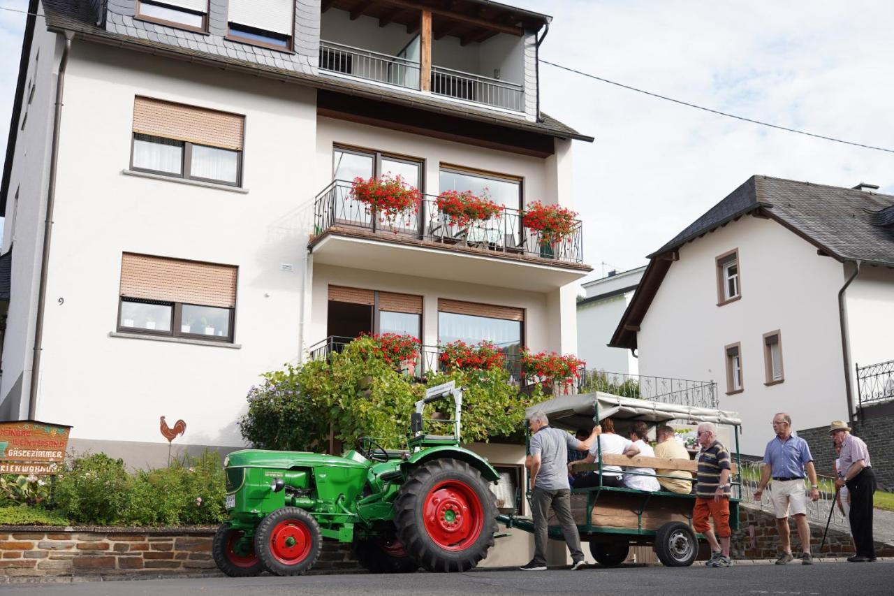 Ferienweingut Hirschen Schulstrasse Bed & Breakfast Burg  Dış mekan fotoğraf