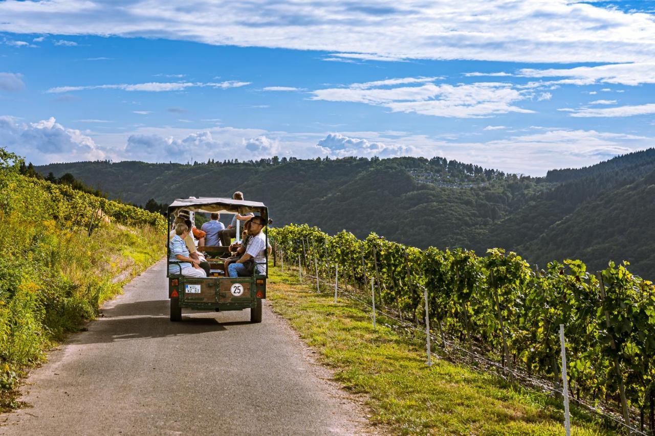 Ferienweingut Hirschen Schulstrasse Bed & Breakfast Burg  Dış mekan fotoğraf