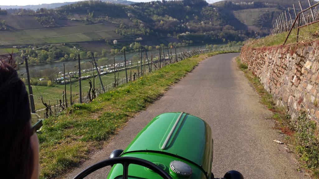 Ferienweingut Hirschen Schulstrasse Bed & Breakfast Burg  Dış mekan fotoğraf
