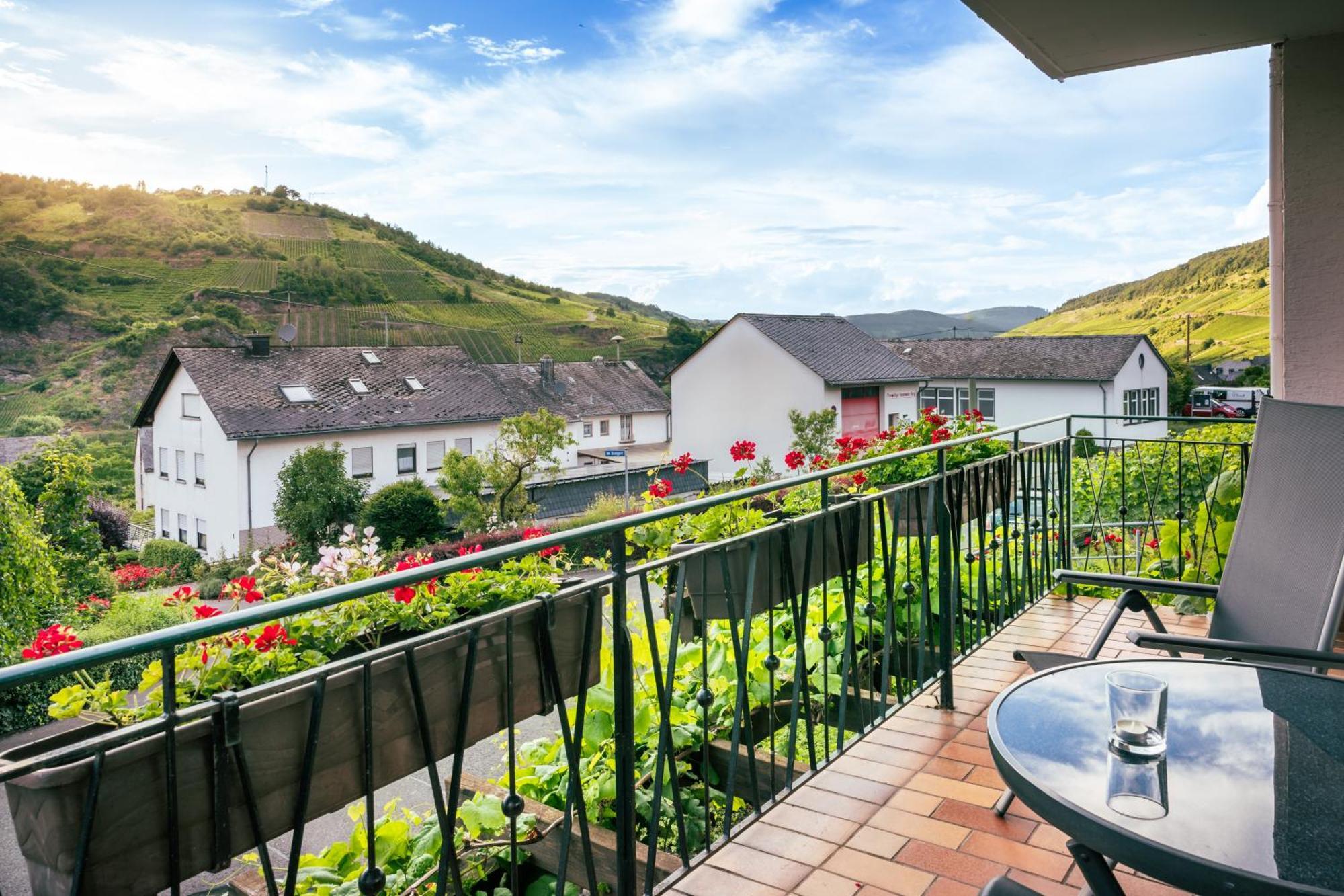 Ferienweingut Hirschen Schulstrasse Bed & Breakfast Burg  Dış mekan fotoğraf
