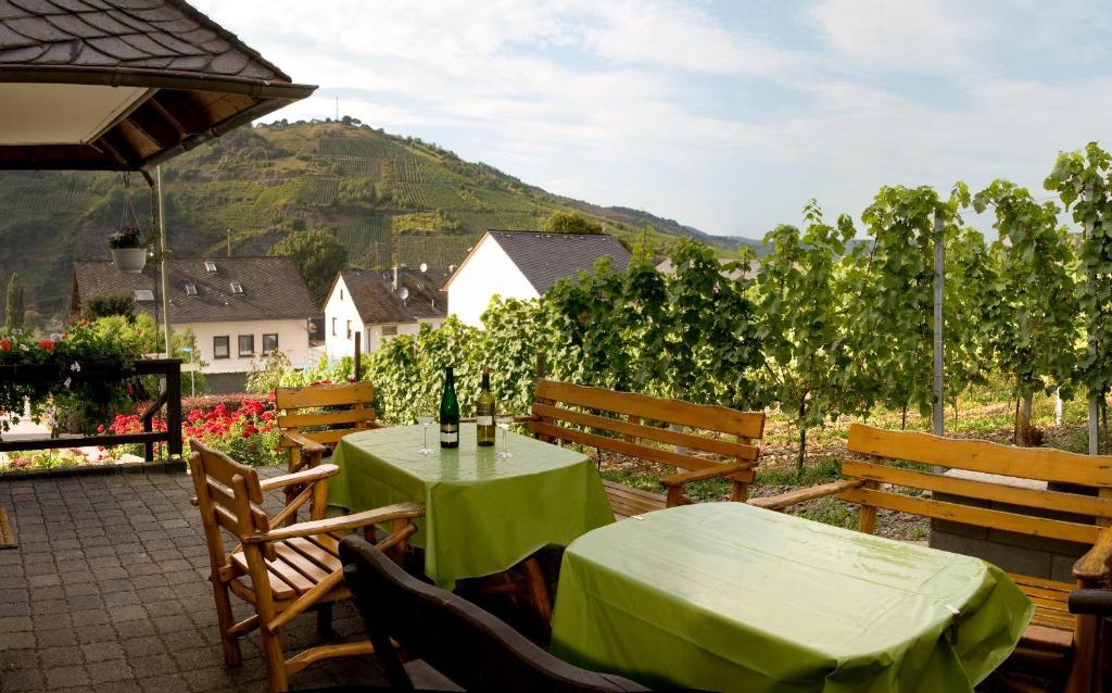 Ferienweingut Hirschen Schulstrasse Bed & Breakfast Burg  Dış mekan fotoğraf