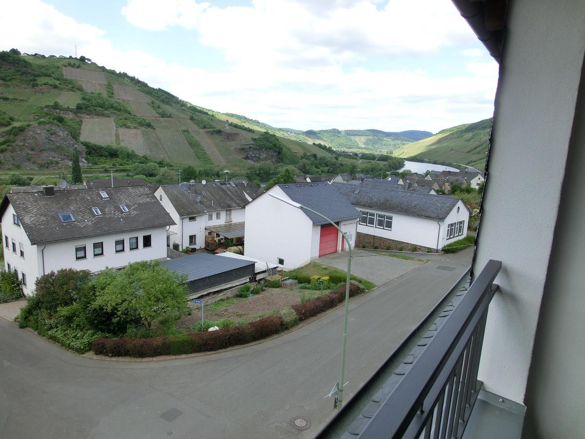 Ferienweingut Hirschen Schulstrasse Bed & Breakfast Burg  Dış mekan fotoğraf